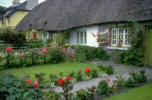 Thatched cottage