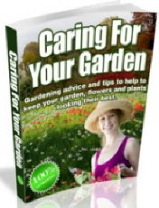 Looking after your Garden Looking after your Garden