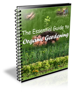 organic gardening organic gardening