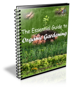 organic gardening