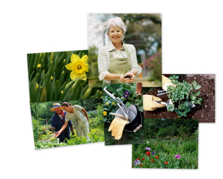 gardening