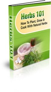 herbs 101