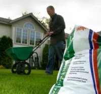 lawn fertilizer